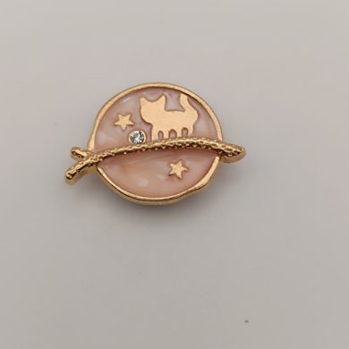 Broche aimantée "Chat doré sur fond rose"