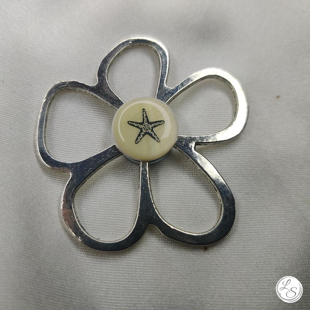 Broche aimantée "Porte lunettes Argenté Étoile"